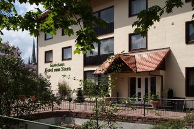 Parkhotel zum Stern: Vista exterior