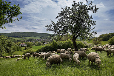 AKZENT Hotel Haus Sonnenberg: Otros