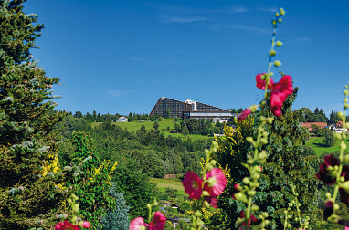 IFA Schöneck Hotel & Ferienpark: Außenansicht