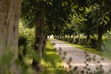 Wald & Schlosshotel Friedrichsruhe: Freizeit