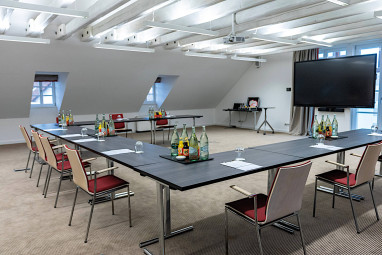 Wald & Schlosshotel Friedrichsruhe: Meeting Room