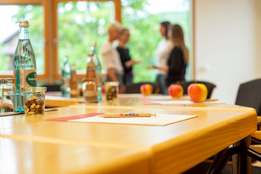 Hotel Alpenblick: Meeting Room