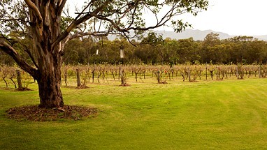 Spicers Vineyards Hunter Valley: Vista exterior