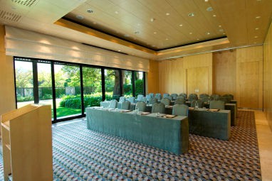 Vineyard Hotel : Salle de réunion