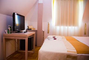 Hotel Satu Mare City: Room