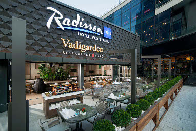 Radisson Blu Hotel Vadistanbul: Vista exterior