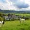 Sauerland Alpin Hotel