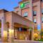 Holiday Inn Express & Suites SIOUX CITY - SOUTHERN HILLS